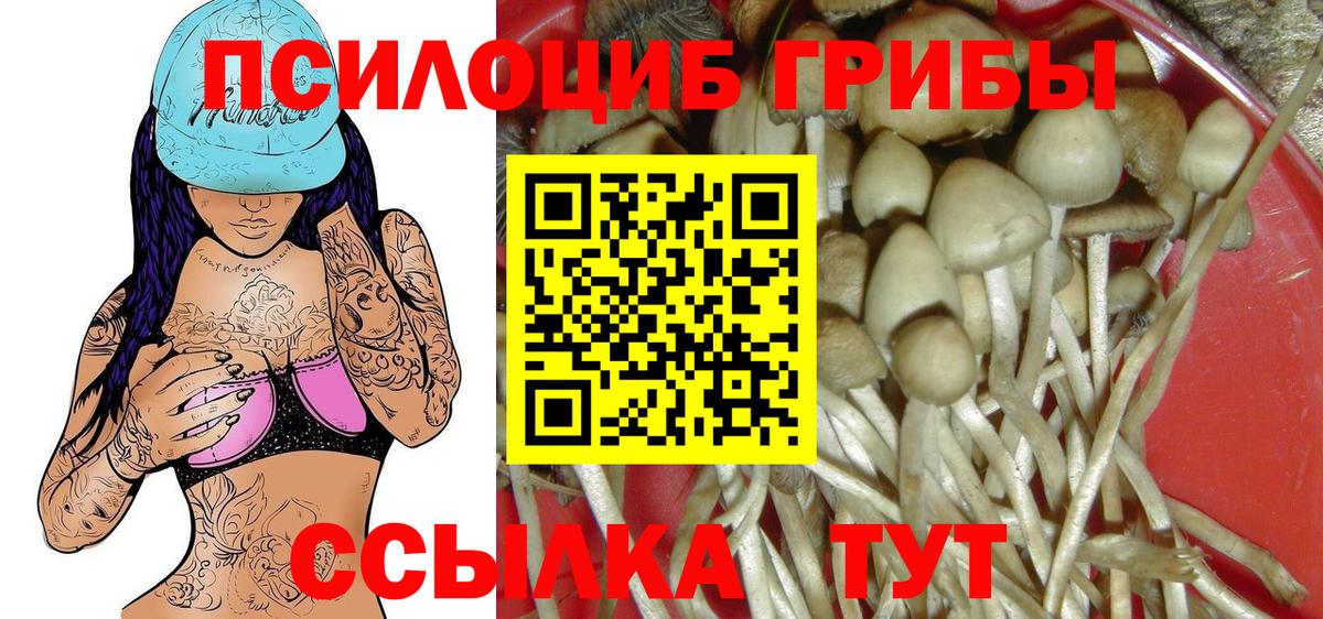 Галлюциногенные грибы прущие грибы  Вход с VPN  Камышлов 