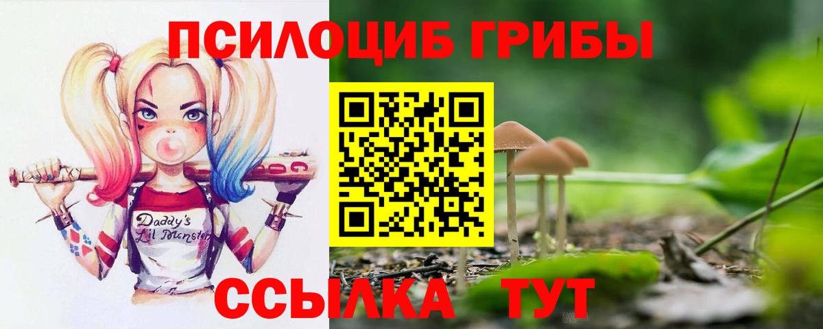 Галлюциногенные грибы Magic Shrooms Камышлов